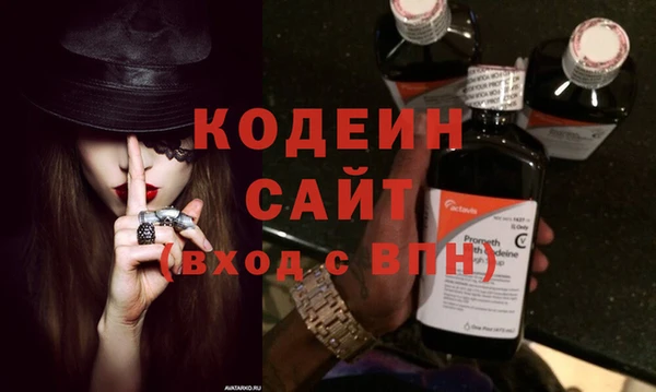 амф Бородино