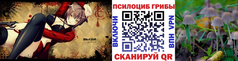 Галлюциногенные грибы MAGIC MUSHROOMS  даркнет сайт  shop какой сайт  Вятские Поляны 