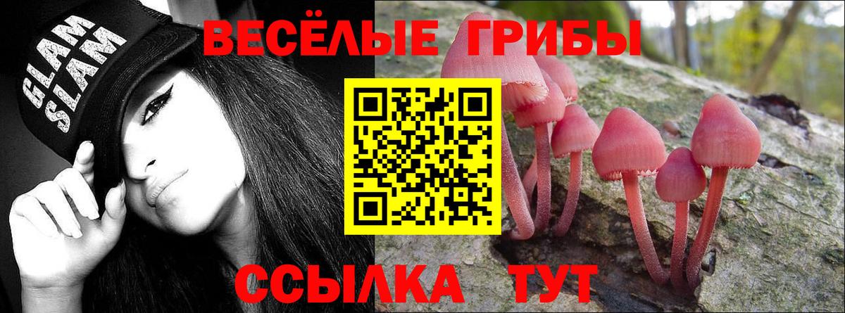 Вятские Поляны  Псилоцибиновые грибы Cubensis  Галлюциногенные грибы ЛСД  Вход с VPN 