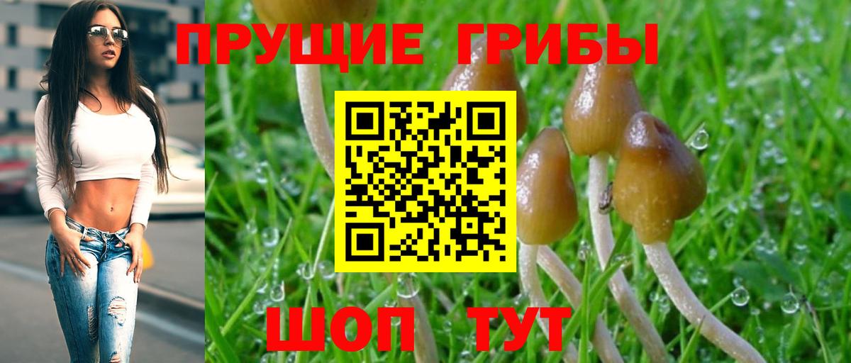 Псилоцибиновые грибы GOLDEN TEACHER Вятские Поляны
