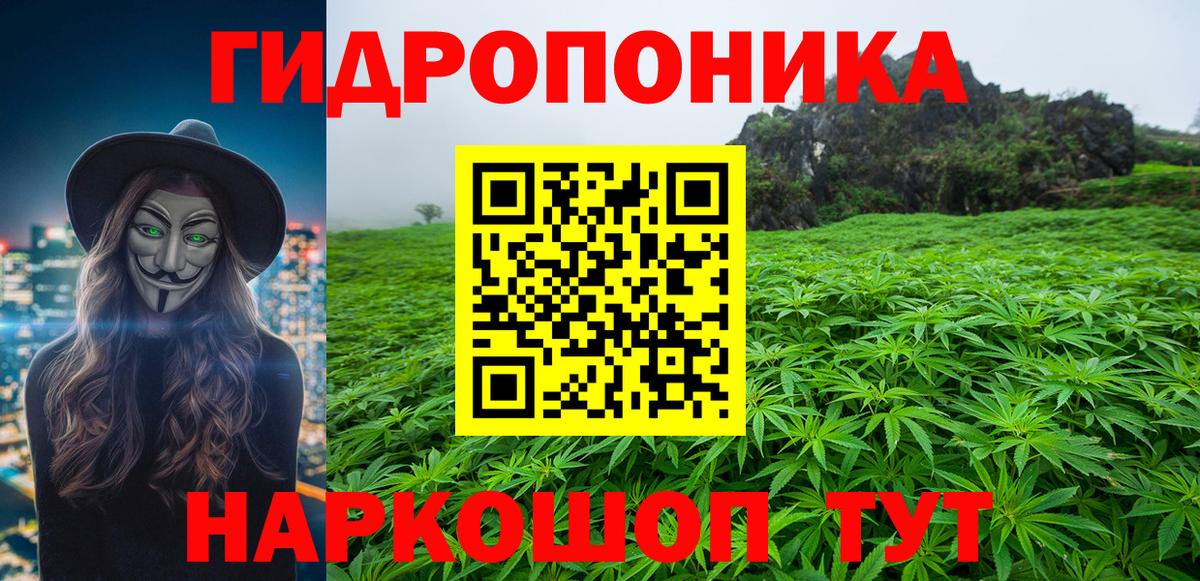 Канабис Bruce Banner  Вход с VPN  МАРИХУАНА ГИДРОПОН  Вятские Поляны 